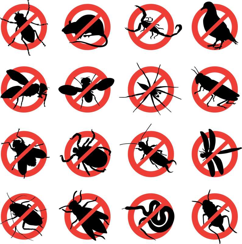 Termite Baiting Systems Termite Baiting Systems